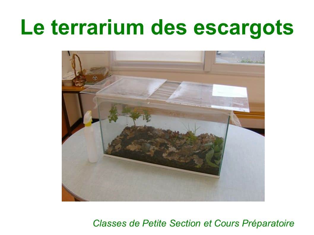 découvrez l'art de créer un terrarium pour escargots, un habitat fascinant et naturel pour ces mollusques. apprenez à concevoir un environnement idéal avec des plantes, du substrat et des décorations pour accueillir vos escargots dans un espace harmonieux et esthétique.