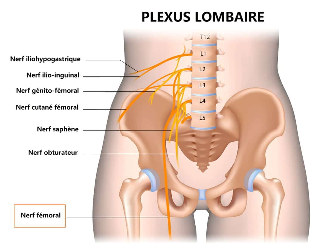 découvrez les causes des nerfs coincés et les traitements efficaces pour soulager la douleur. apprenez à identifier les symptômes et à choisir les meilleures options de soin pour retrouver votre bien-être.