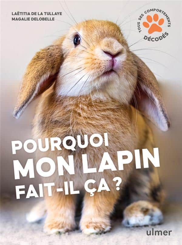 découvrez le fascinant monde du lapin et de son adorable museau ! apprenez comment ces petits animaux expriment leurs émotions à travers leur nez espiègle et leurs mignonnes manières. un voyage charmant au cœur de la nature et de la vie des lapins.